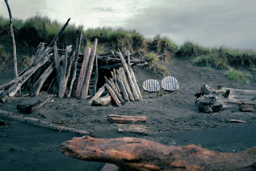 Driftwood and dune grass on a wide, dark-sand beach under a big northern sky