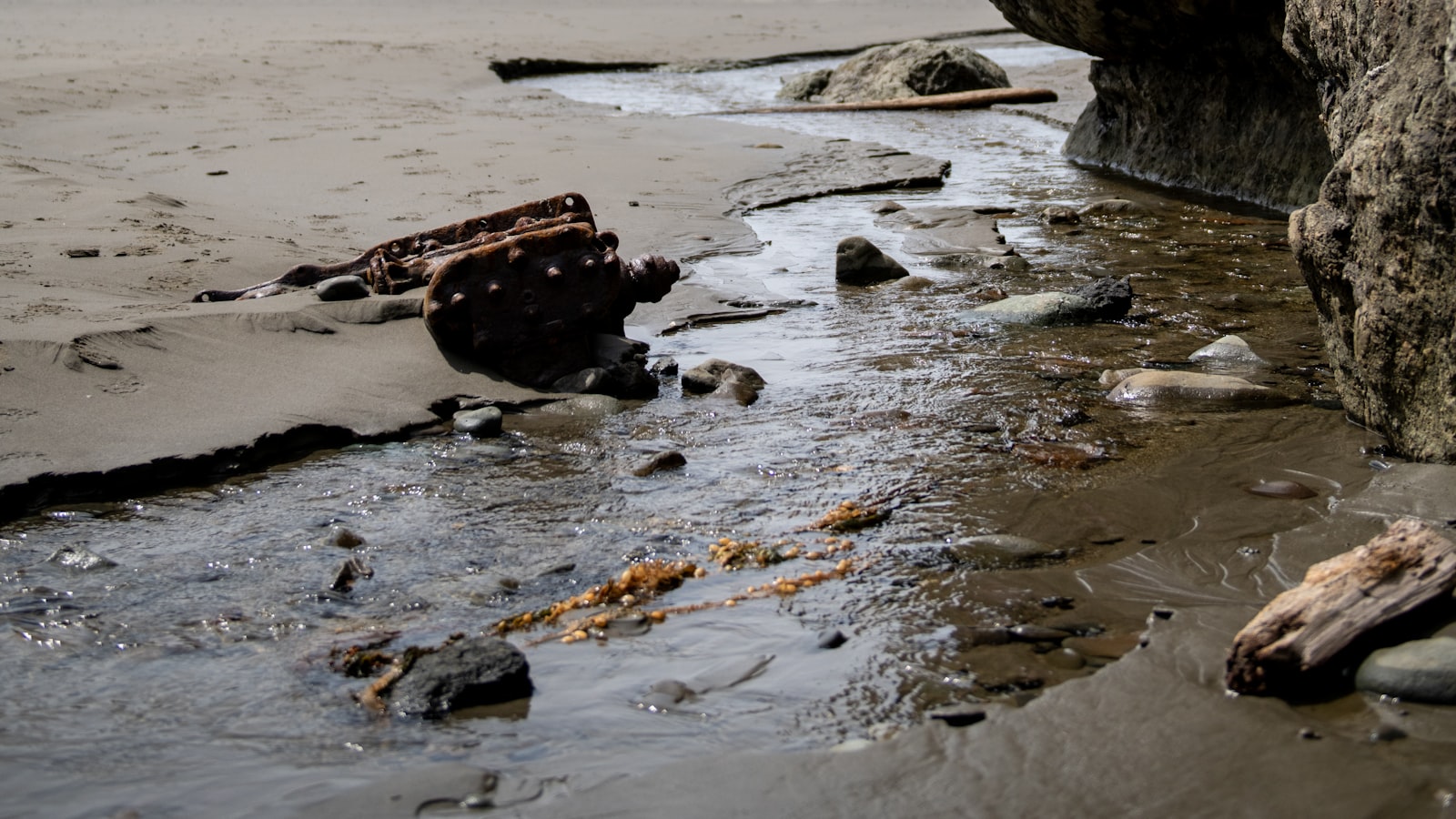 Driftwood and a tidal creek meeting the sand where the river reaches the beach at Tlell
