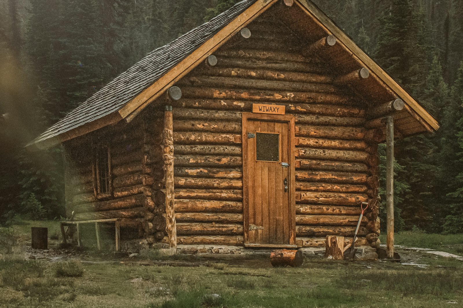 A honey-toned log house standing among tall coastal spruce under a moody northern sky
